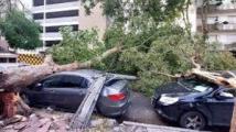 Fuerte temporal azoto Mar del Plata