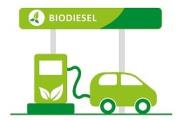 Biodiesel en Pugna